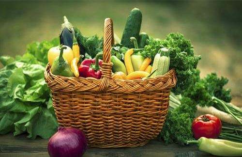 临沂绿通蔬菜配送的优势有哪些